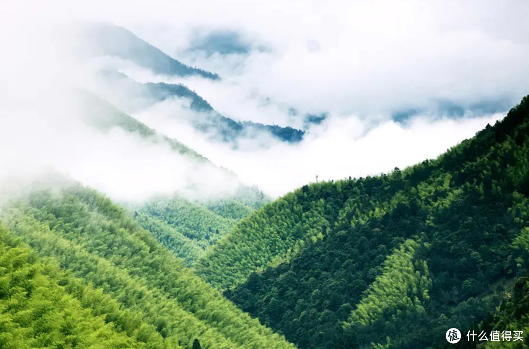 杭州高铁2h，这家新酒店值得一趟周边游