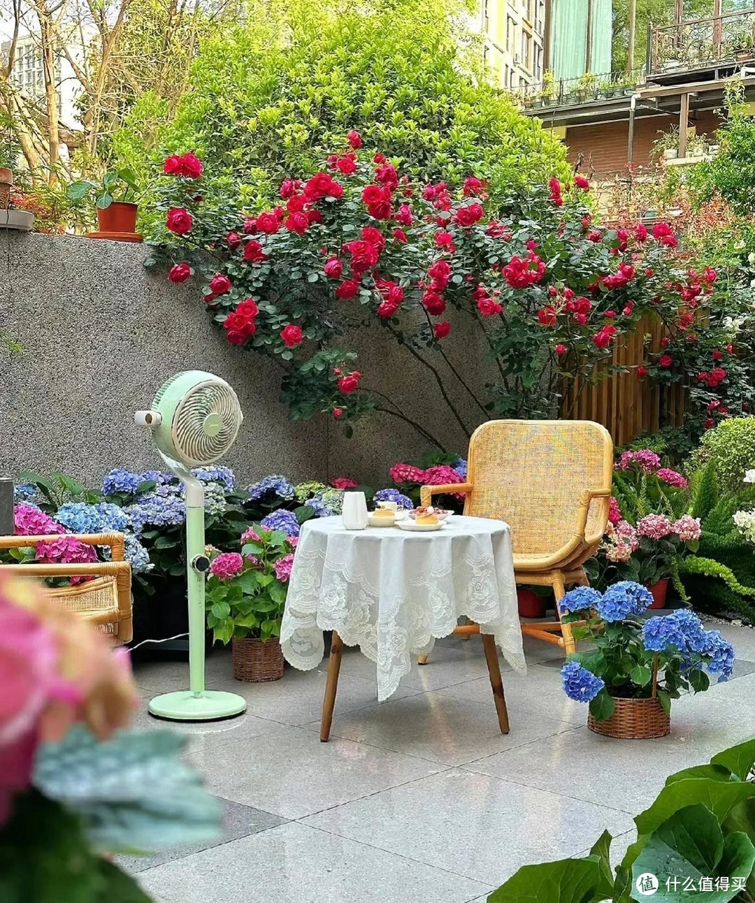 广西一姐姐，“庭院花园太美”走红，太治愈了，妥妥的视觉盛宴